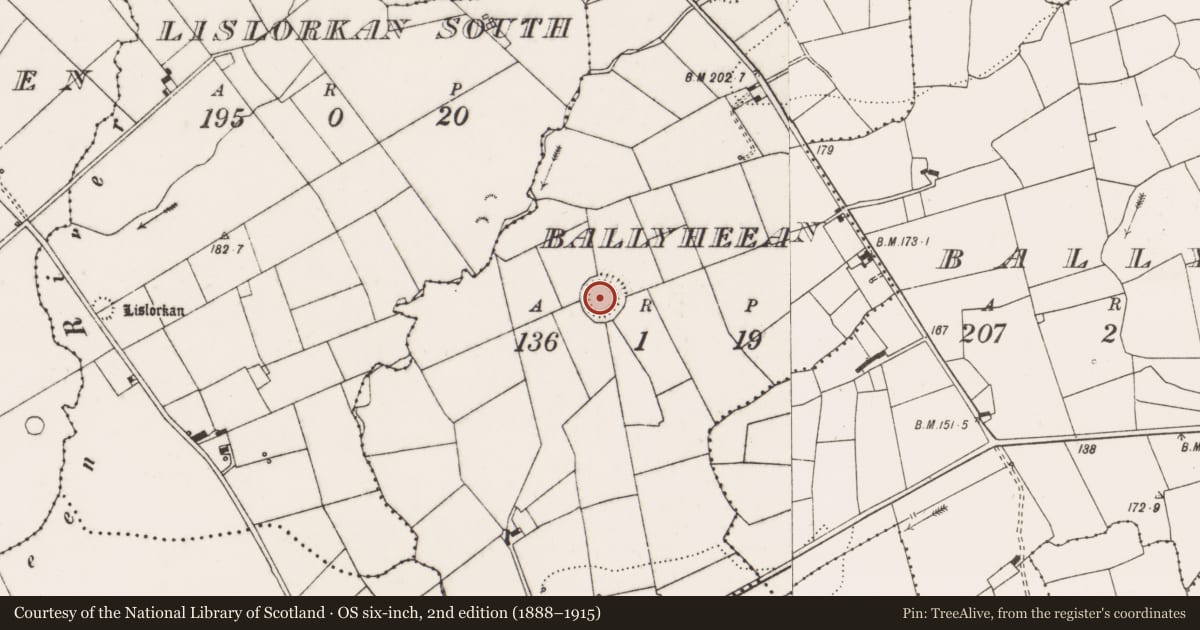 Ordnance Survey six-inch map, 2nd edition (1888–1915) covering the location of Ringfort - rath, Ballyheean, County Clare, with a pin at the register's coordinates