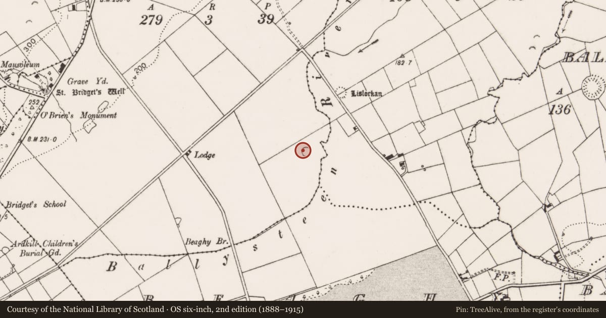 Ordnance Survey six-inch map, 2nd edition (1888–1915) covering the location of Ringfort - cashel, Ballysteen, County Clare, with a pin at the register's coordinates