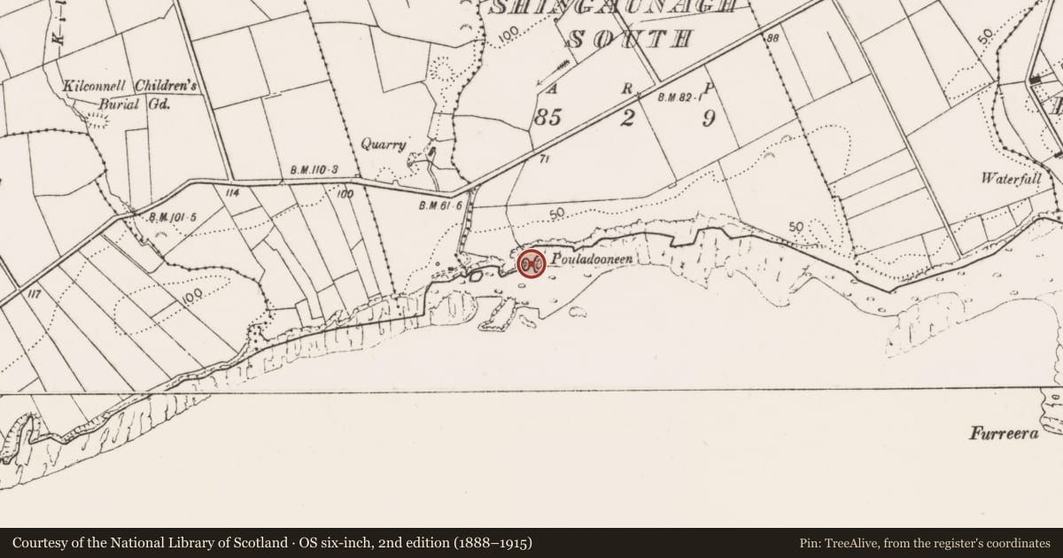 Ordnance Survey six-inch map, 2nd edition (1888–1915) covering the location of Castle - unclassified, Shingaunagh South, County Clare, with a pin at the register's coordinates