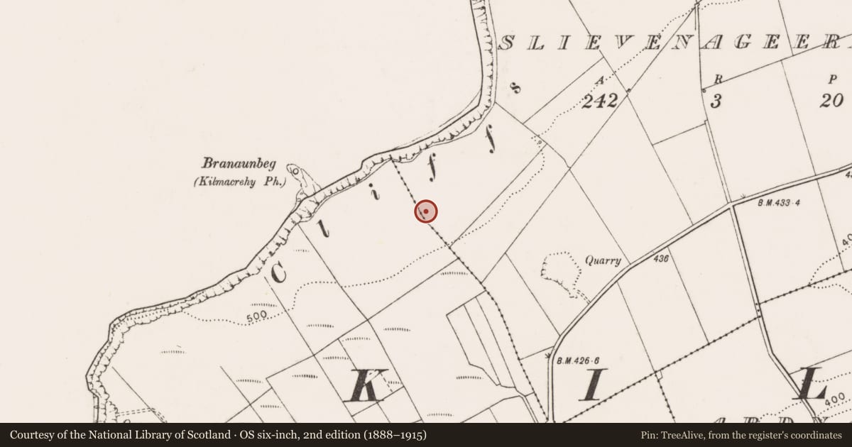 Ordnance Survey six-inch map, 2nd edition (1888–1915) covering the location of Ringfort - rath, Slievenageeragh, Kineilty, County Clare, with a pin at the register's coordinates