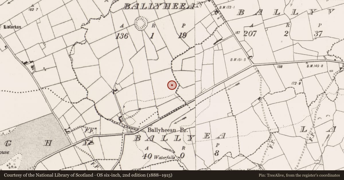 Ordnance Survey six-inch map, 2nd edition (1888–1915) covering the location of Ringfort - rath, Ballyheean, County Clare, with a pin at the register's coordinates