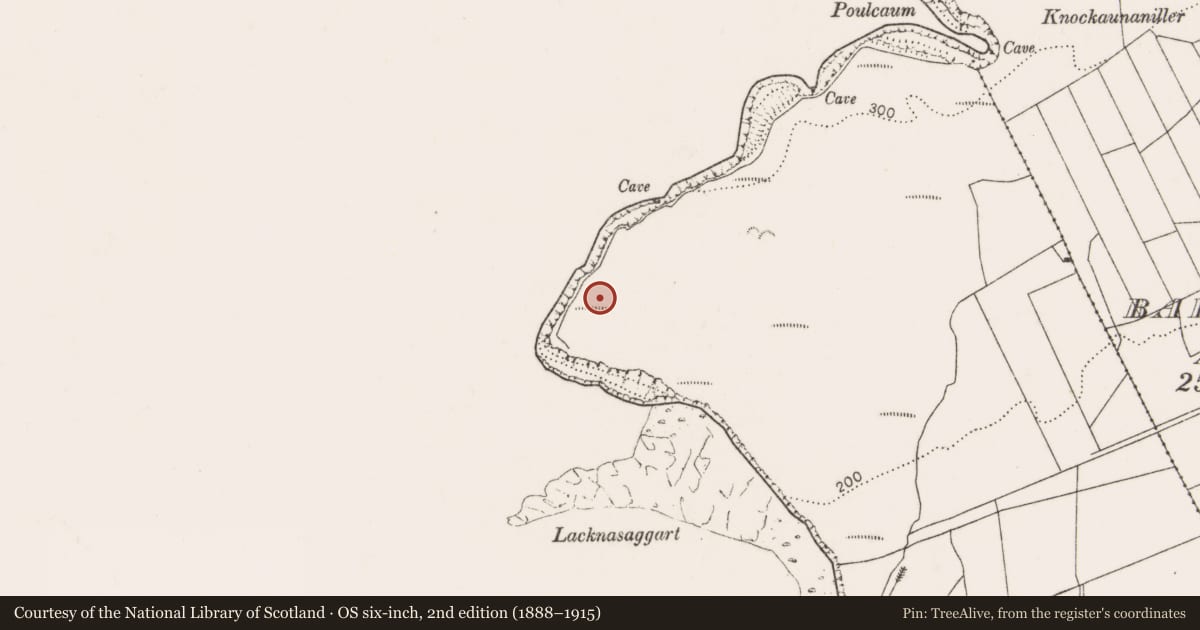 Ordnance Survey six-inch map, 2nd edition (1888–1915) covering the location of Enclosure, Ballyherragh, County Clare, with a pin at the register's coordinates