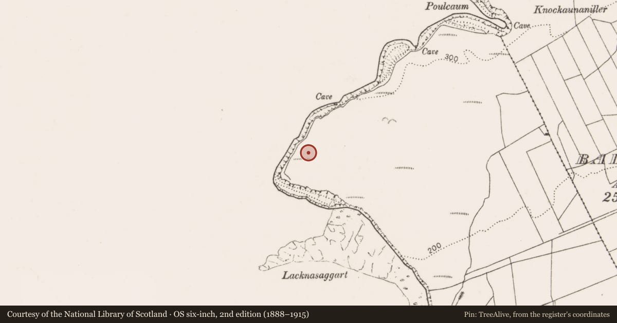 Ordnance Survey six-inch map, 2nd edition (1888–1915) covering the location of Hut site, County Clare, with a pin at the register's coordinates