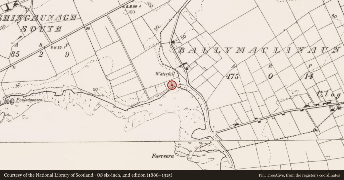 Ordnance Survey six-inch map, 2nd edition (1888–1915) covering the location of Midden, Kineilty, County Clare, with a pin at the register's coordinates