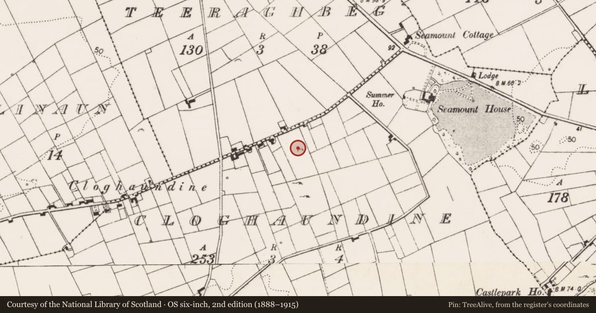 Ordnance Survey six-inch map, 2nd edition (1888–1915) covering the location of Ringfort - rath, Cloghaundine, County Clare, with a pin at the register's coordinates