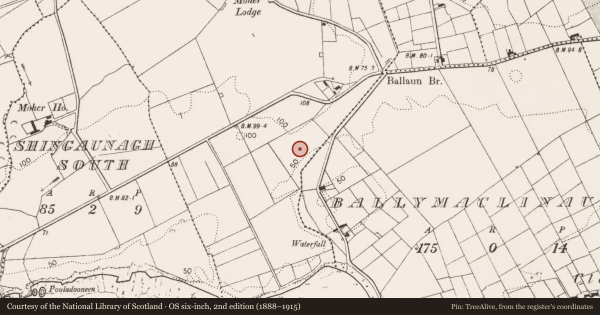 Ordnance Survey six-inch map, 2nd edition (1888–1915) covering the location of Enclosure, County Clare, with a pin at the register's coordinates