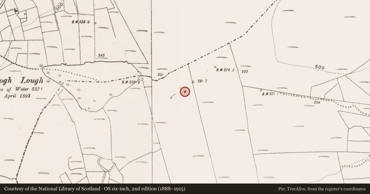 Ordnance Survey six-inch map, 2nd edition (1888–1915) covering the location of Megalithic tomb - wedge tomb, Ballycotteen North, County Clare, with a pin at the register's coordinates