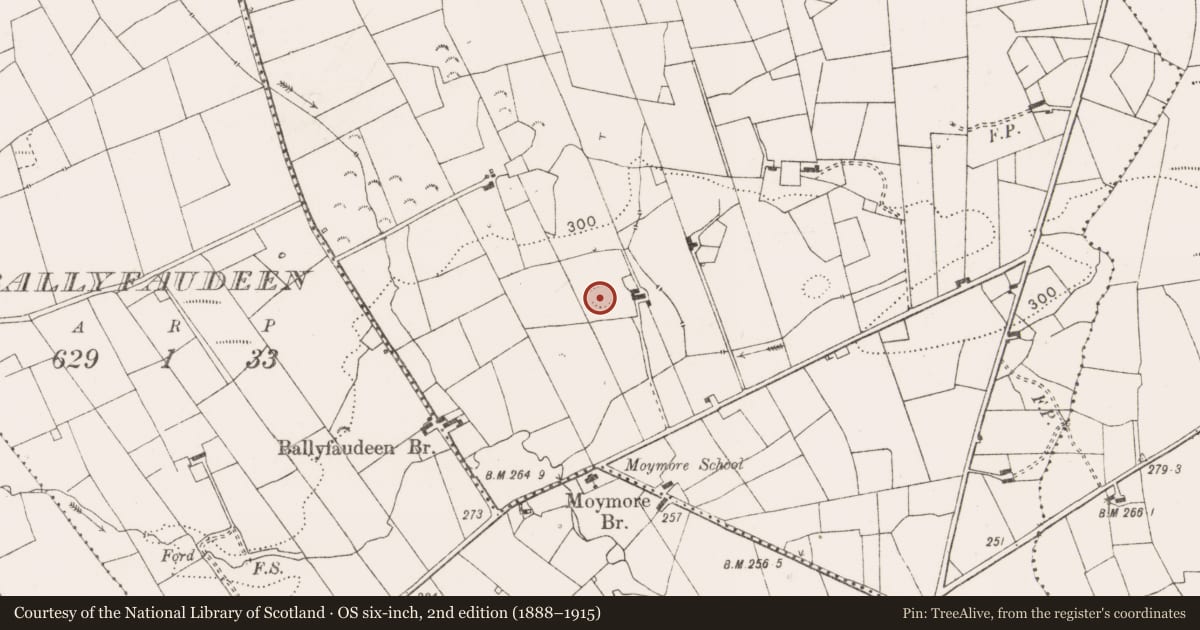Ordnance Survey six-inch map, 2nd edition (1888–1915) covering the location of Enclosure, Moymore North, County Clare, with a pin at the register's coordinates