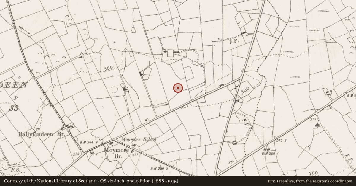 Ordnance Survey six-inch map, 2nd edition (1888–1915) covering the location of Ringfort - rath, Moymore North, County Clare, with a pin at the register's coordinates
