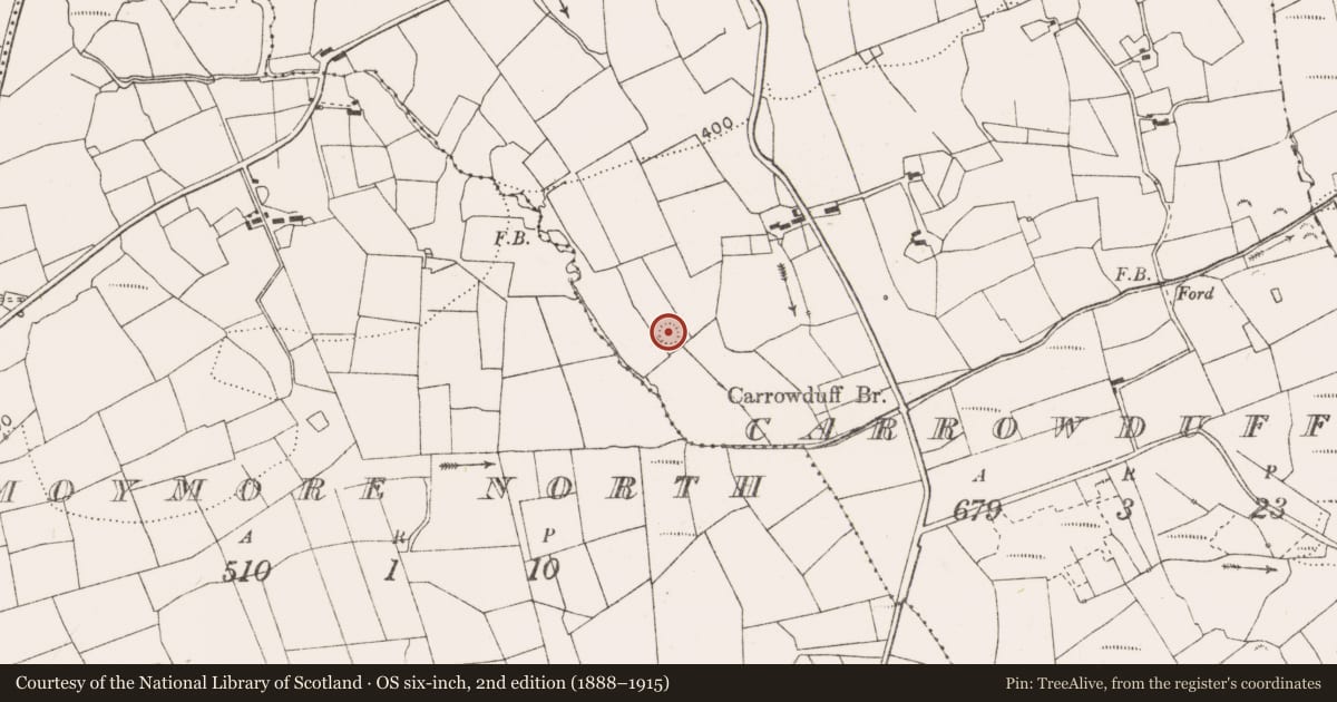 Ordnance Survey six-inch map, 2nd edition (1888–1915) covering the location of Ringfort - rath, Carrowduff, County Clare, with a pin at the register's coordinates