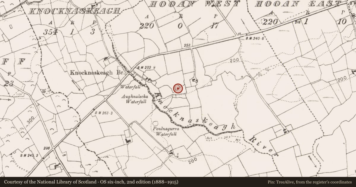 Ordnance Survey six-inch map, 2nd edition (1888–1915) covering the location of Ringfort - cashel, Carrownahooan West, County Clare, with a pin at the register's coordinates