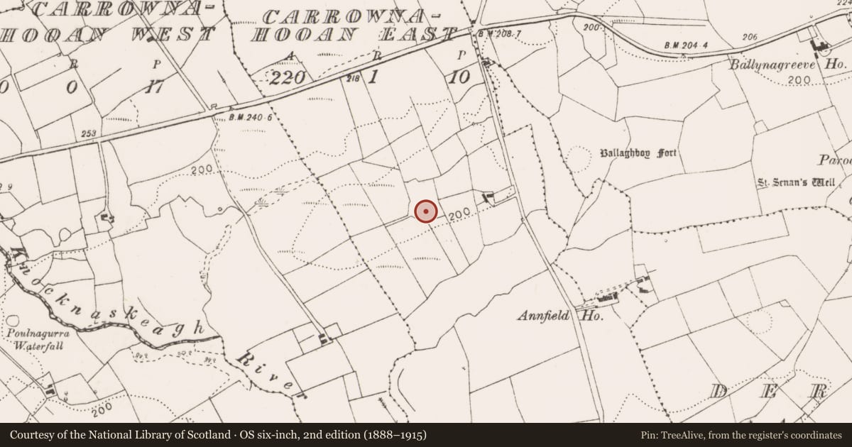 Ordnance Survey six-inch map, 2nd edition (1888–1915) covering the location of Ringfort - rath, Carrownahooan East, County Clare, with a pin at the register's coordinates