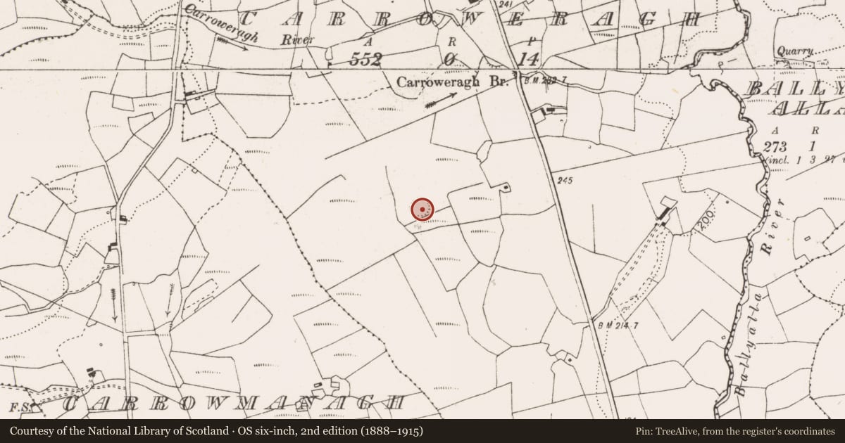 Ordnance Survey six-inch map, 2nd edition (1888–1915) covering the location of Ringfort - rath, Carroweragh, County Clare, with a pin at the register's coordinates