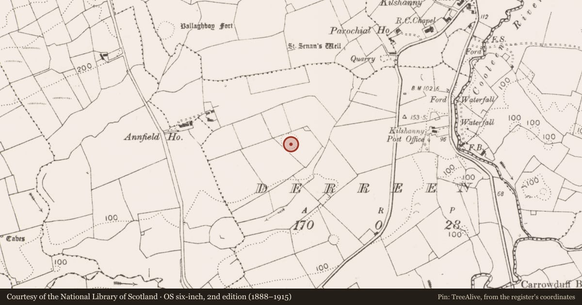 Ordnance Survey six-inch map, 2nd edition (1888–1915) covering the location of Ringfort - rath, Derreen, County Clare, with a pin at the register's coordinates