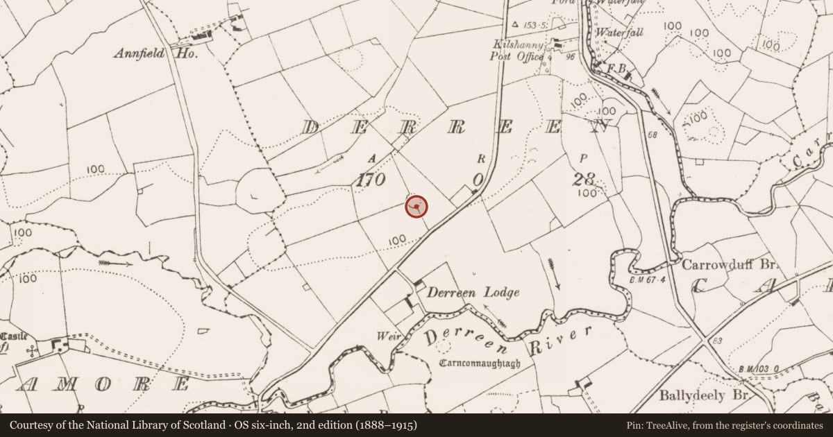 Ordnance Survey six-inch map, 2nd edition (1888–1915) covering the location of Ringfort - rath, Derreen, County Clare, with a pin at the register's coordinates