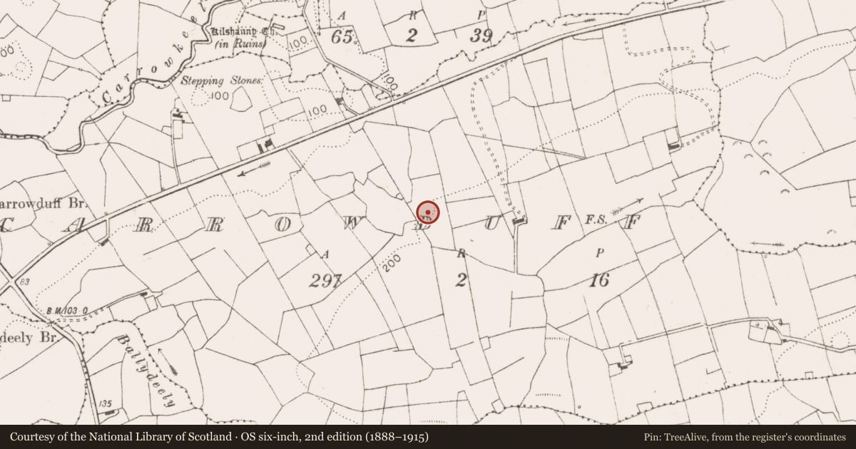 Ordnance Survey six-inch map, 2nd edition (1888–1915) covering the location of Ringfort - rath, Carrowduff, County Clare, with a pin at the register's coordinates