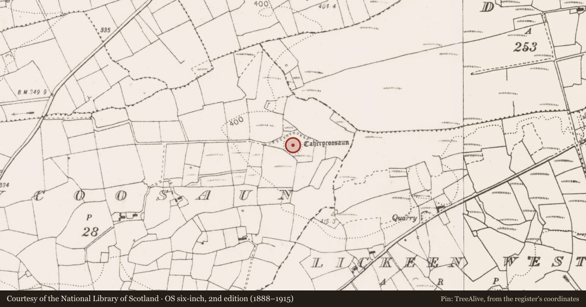 Ordnance Survey six-inch map, 2nd edition (1888–1915) covering the location of Ringfort - rath, Caherycoosaun, County Clare, with a pin at the register's coordinates
