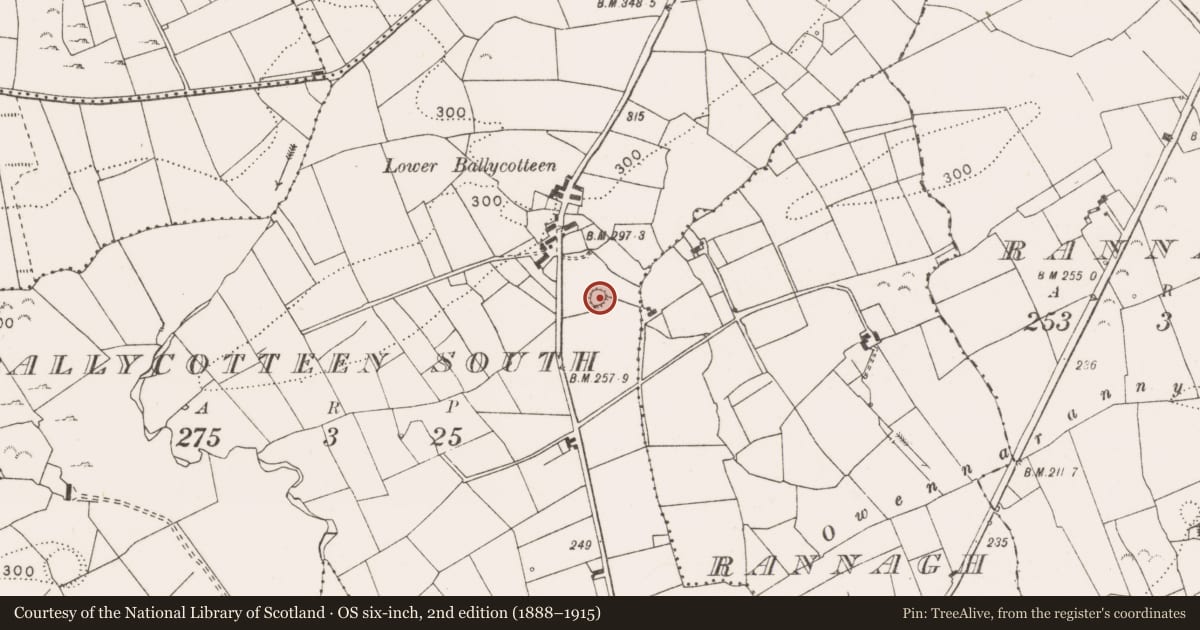 Ordnance Survey six-inch map, 2nd edition (1888–1915) covering the location of Ringfort - cashel, Ballycotteen South, County Clare, with a pin at the register's coordinates