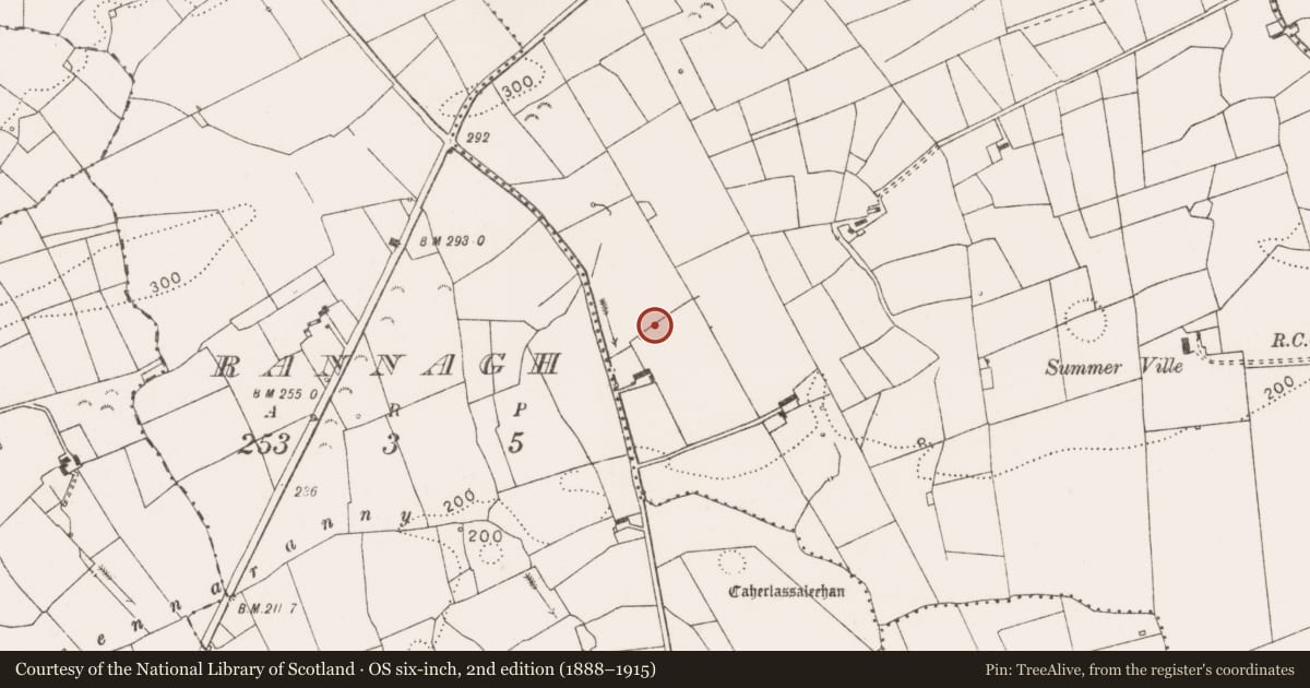 Ordnance Survey six-inch map, 2nd edition (1888–1915) covering the location of Ringfort - rath, Ballyfaudeen, County Clare, with a pin at the register's coordinates