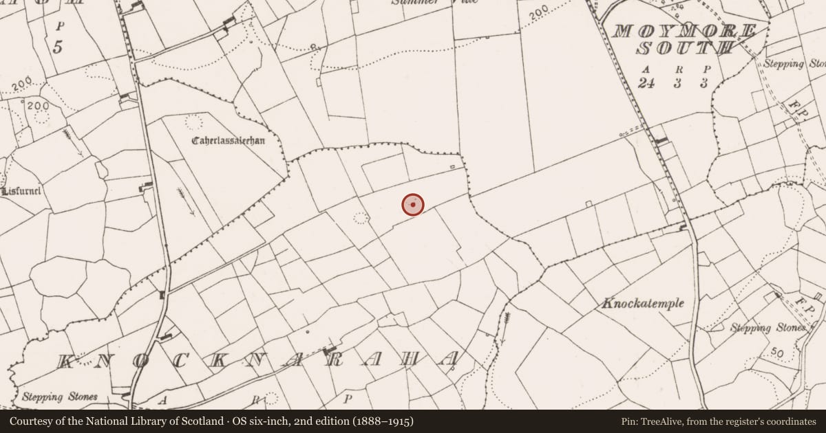 Ordnance Survey six-inch map, 2nd edition (1888–1915) covering the location of Ringfort - rath, Knocknaraha, County Clare, with a pin at the register's coordinates