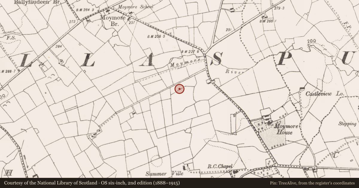 Ordnance Survey six-inch map, 2nd edition (1888–1915) covering the location of Enclosure, Ballyfaudeen, County Clare, with a pin at the register's coordinates