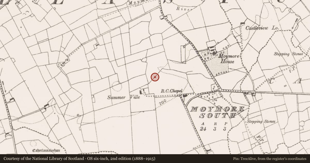 Ordnance Survey six-inch map, 2nd edition (1888–1915) covering the location of Enclosure, Ballyfaudeen, County Clare, with a pin at the register's coordinates