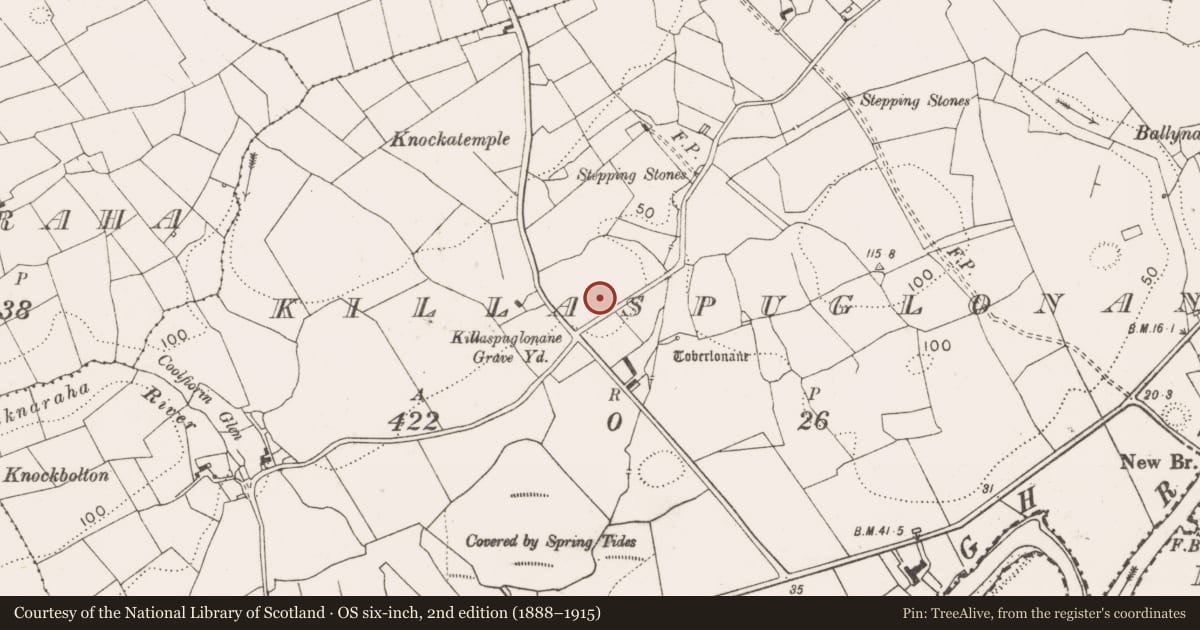 Ordnance Survey six-inch map, 2nd edition (1888–1915) covering the location of Ecclesiastical enclosure, Killaspuglonane, County Clare, with a pin at the register's coordinates