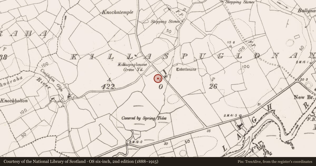 Ordnance Survey six-inch map, 2nd edition (1888–1915) covering the location of Church, Killaspuglonane, County Clare, with a pin at the register's coordinates