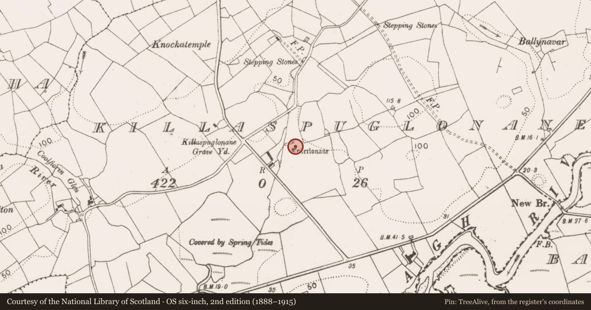Ordnance Survey six-inch map, 2nd edition (1888–1915) covering the location of Stone head, Killaspuglonane, County Clare, with a pin at the register's coordinates