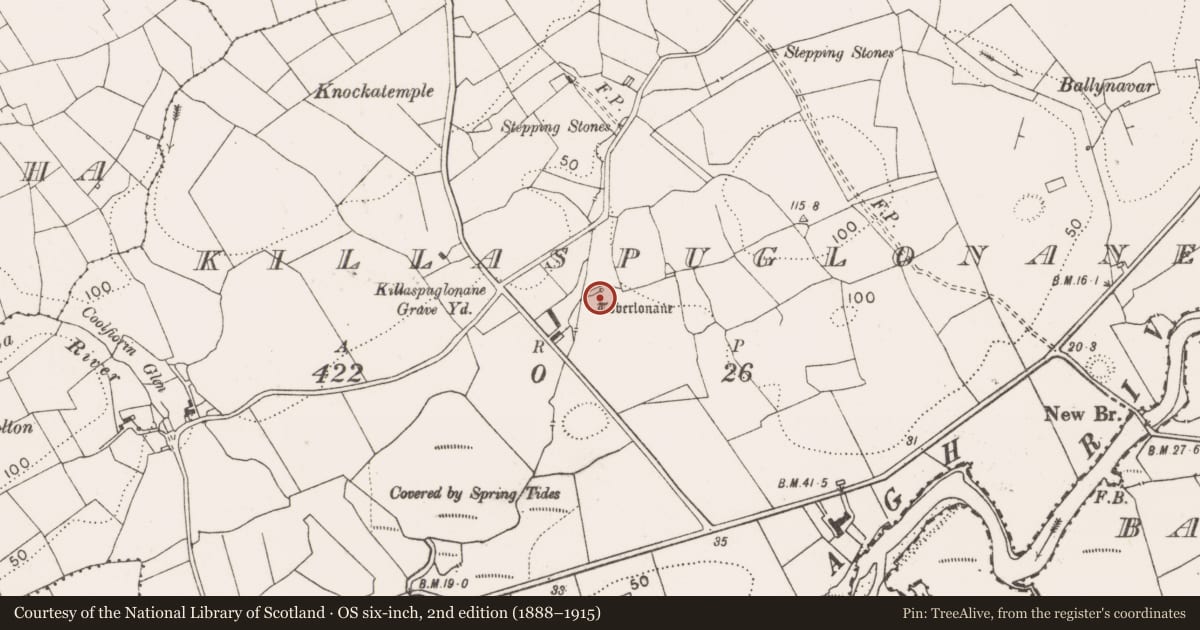 Ordnance Survey six-inch map, 2nd edition (1888–1915) covering the location of Ritual site - holy well, Killaspuglonane, County Clare, with a pin at the register's coordinates
