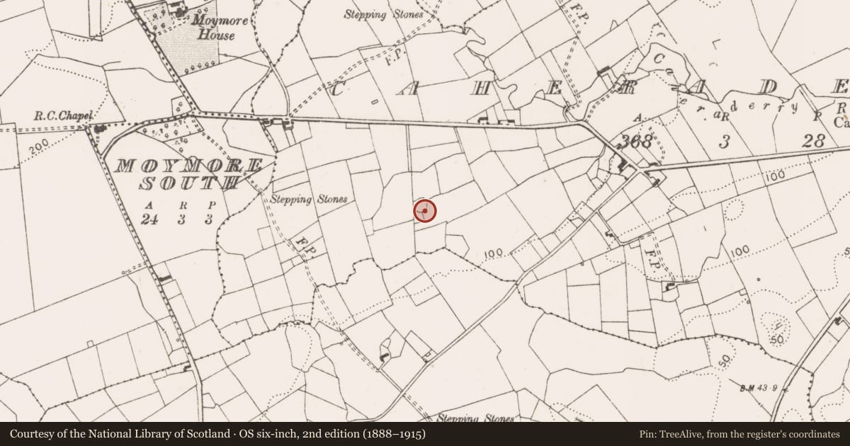 Ordnance Survey six-inch map, 2nd edition (1888–1915) covering the location of Ringfort - cashel, Caheraderry, County Clare, with a pin at the register's coordinates