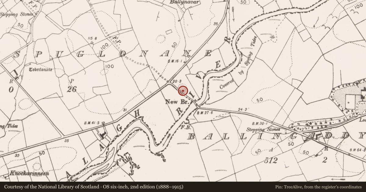 Ordnance Survey six-inch map, 2nd edition (1888–1915) covering the location of Ringfort - rath, Killaspuglonane, County Clare, with a pin at the register's coordinates
