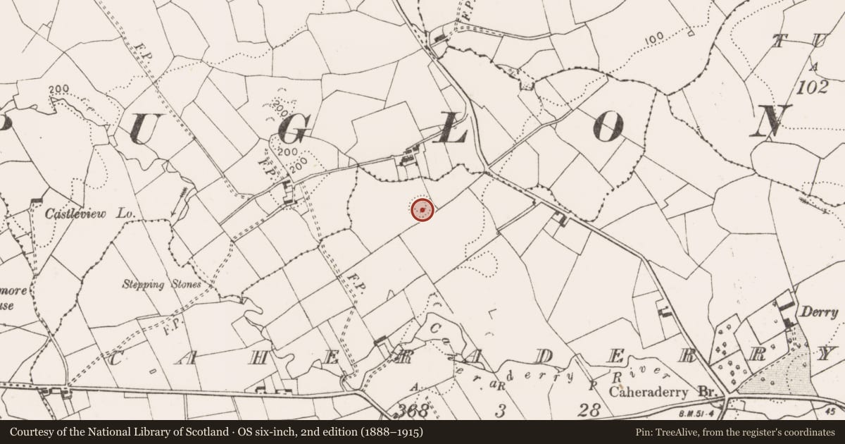 Ordnance Survey six-inch map, 2nd edition (1888–1915) covering the location of Ringfort - rath, Caheraderry, County Clare, with a pin at the register's coordinates