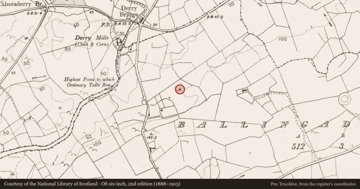 Ordnance Survey six-inch map, 2nd edition (1888–1915) covering the location of Ringfort - rath, Ballingaddy East, County Clare, with a pin at the register's coordinates