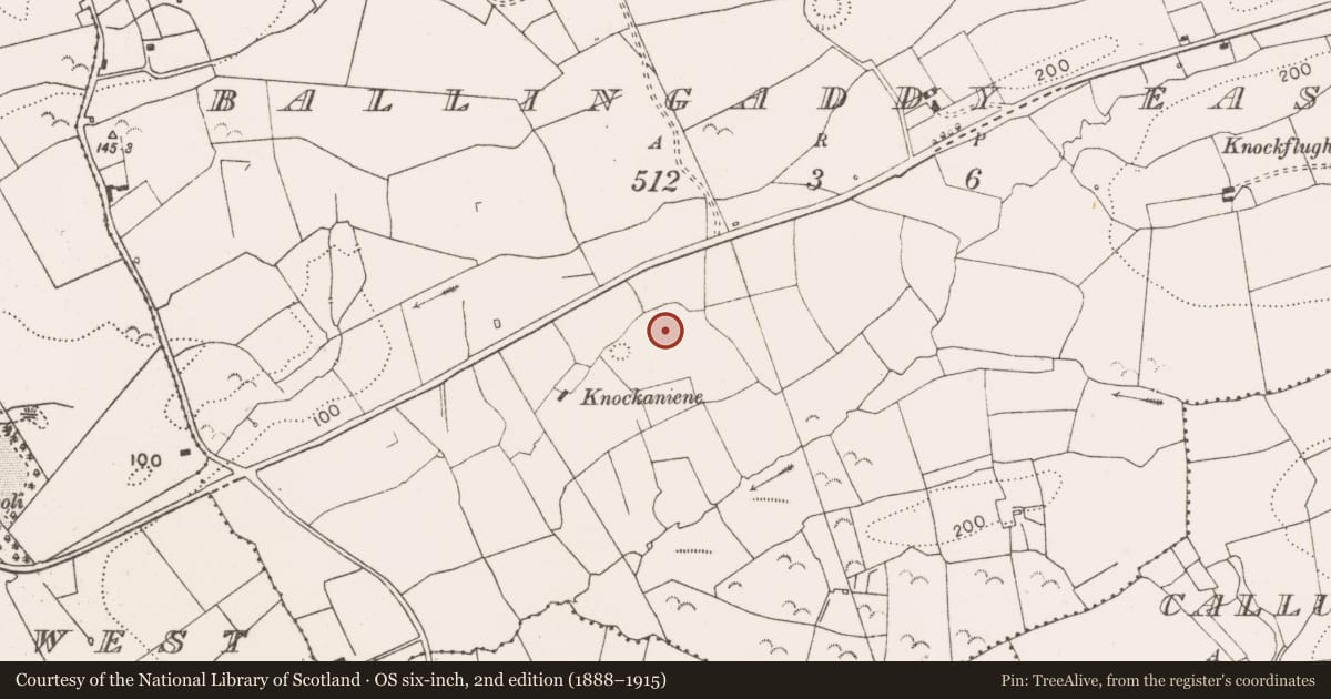 Ordnance Survey six-inch map, 2nd edition (1888–1915) covering the location of Ringfort - rath, Ballingaddy East, County Clare, with a pin at the register's coordinates
