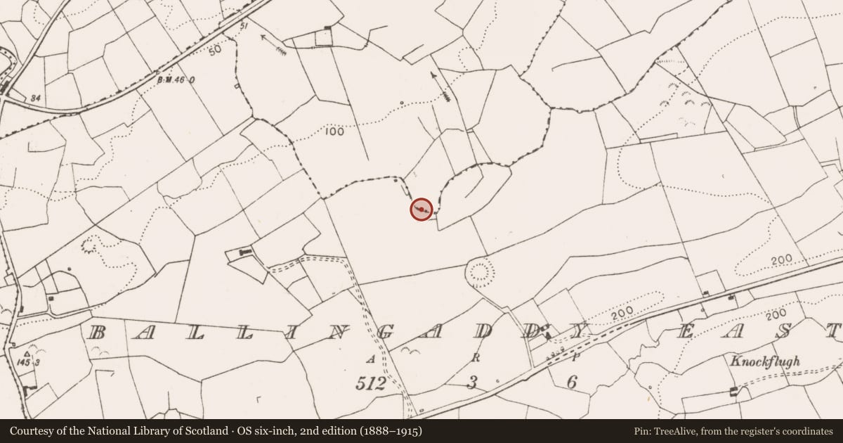 Ordnance Survey six-inch map, 2nd edition (1888–1915) covering the location of Enclosure, Ballydeely, County Clare, with a pin at the register's coordinates