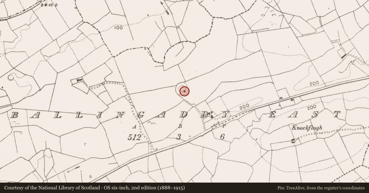 Ordnance Survey six-inch map, 2nd edition (1888–1915) covering the location of Ringfort - rath, Ballingaddy East, County Clare, with a pin at the register's coordinates