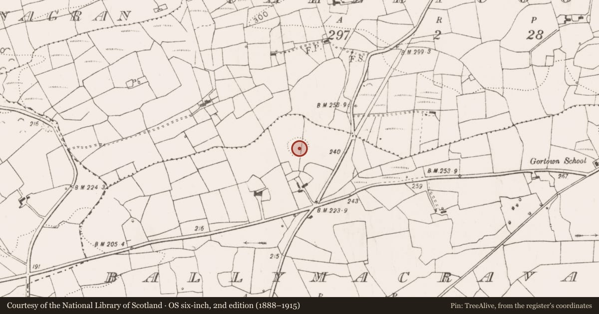 Ordnance Survey six-inch map, 2nd edition (1888–1915) covering the location of Ringfort - rath, Ballymacravan, County Clare, with a pin at the register's coordinates