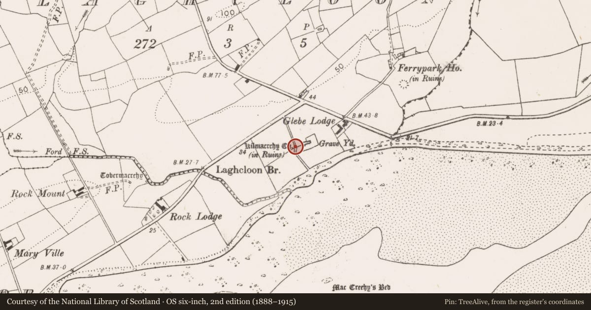 Ordnance Survey six-inch map, 2nd edition (1888–1915) covering the location of Bullaun stone, Laghcloon, County Clare, with a pin at the register's coordinates