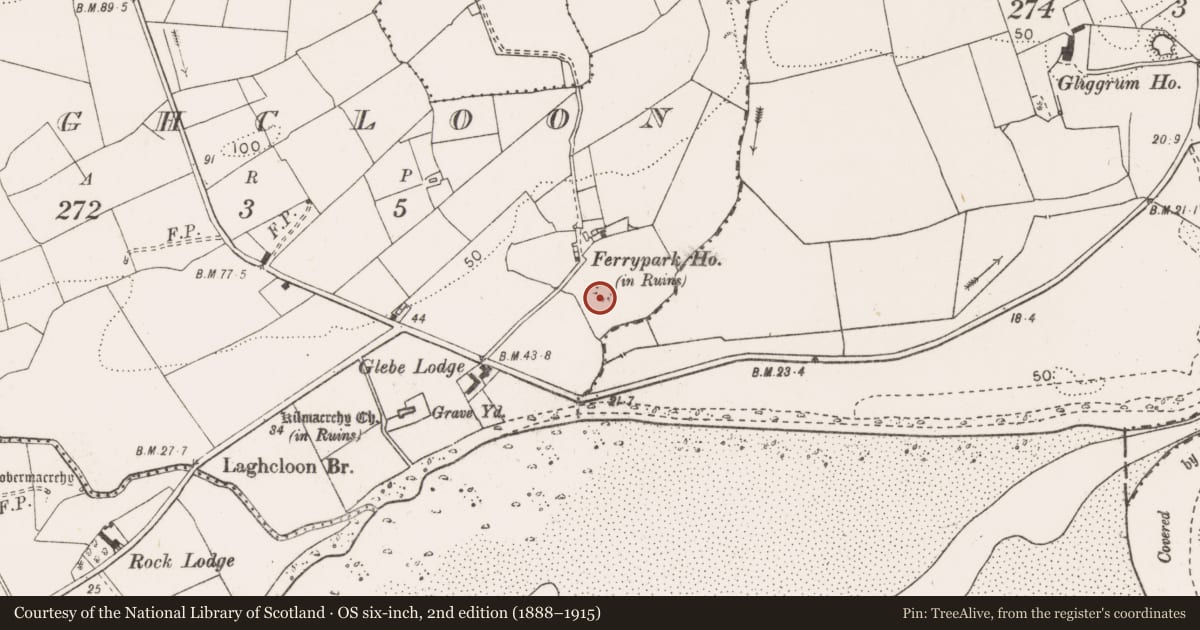Ordnance Survey six-inch map, 2nd edition (1888–1915) covering the location of Ringfort - rath, Laghcloon, County Clare, with a pin at the register's coordinates
