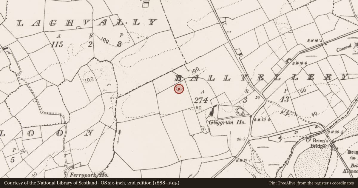Ordnance Survey six-inch map, 2nd edition (1888–1915) covering the location of Ringfort - rath, Ballyellery, County Clare, with a pin at the register's coordinates