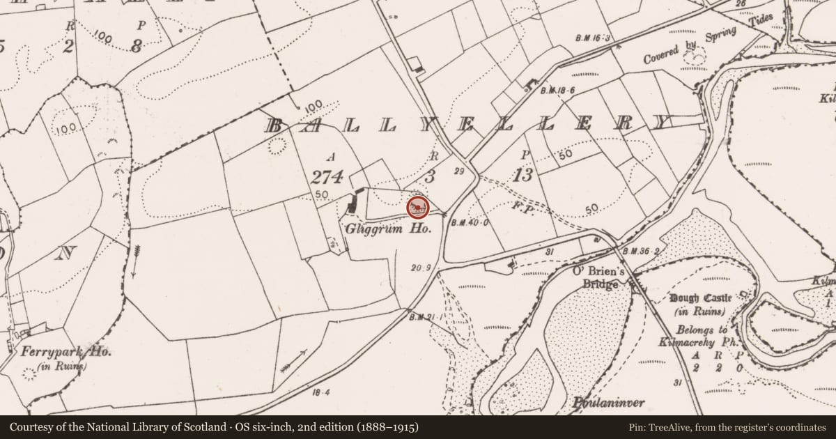 Ordnance Survey six-inch map, 2nd edition (1888–1915) covering the location of Quarry, Ballyellery, County Clare, with a pin at the register's coordinates