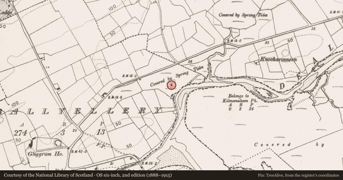 Ordnance Survey six-inch map, 2nd edition (1888–1915) covering the location of Mound, Ballyellery, County Clare, with a pin at the register's coordinates