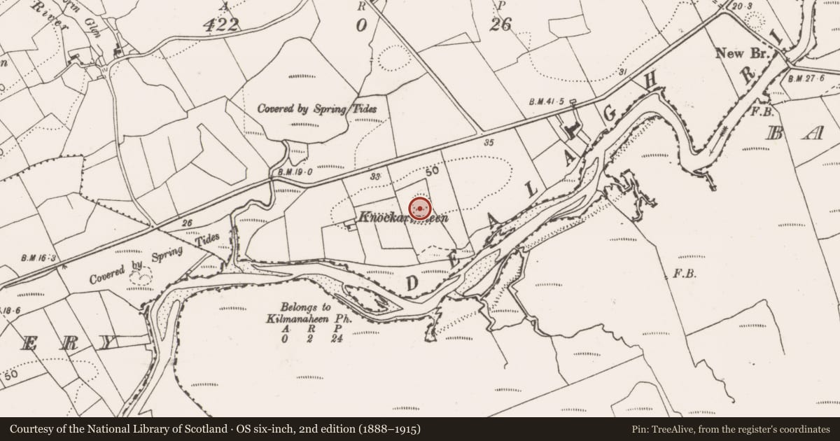 Ordnance Survey six-inch map, 2nd edition (1888–1915) covering the location of Ringfort - rath, Killaspuglonane, County Clare, with a pin at the register's coordinates