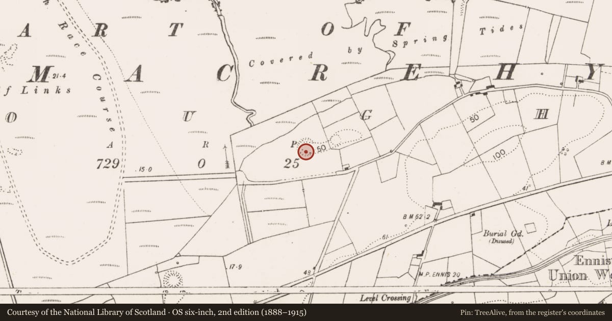 Ordnance Survey six-inch map, 2nd edition (1888–1915) covering the location of Ringfort - rath, Dough, County Clare, with a pin at the register's coordinates
