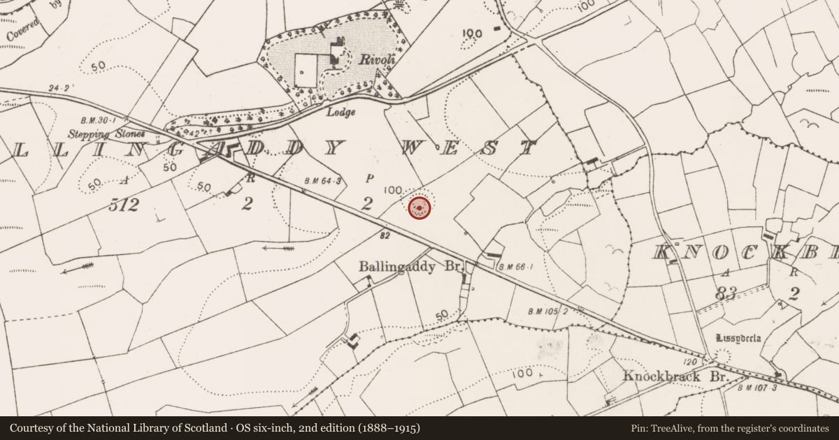 Ordnance Survey six-inch map, 2nd edition (1888–1915) covering the location of Ringfort - rath, Ballingaddy West, County Clare, with a pin at the register's coordinates