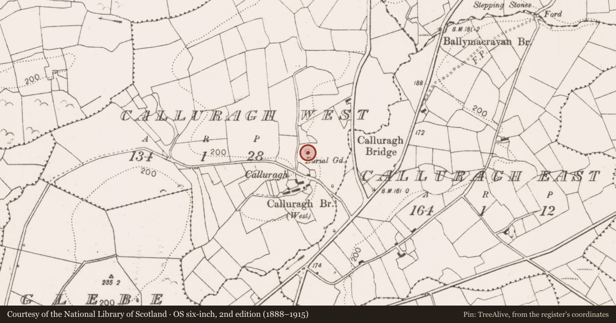Ordnance Survey six-inch map, 2nd edition (1888–1915) covering the location of Children's burial ground, Calluragh West, County Clare, with a pin at the register's coordinates