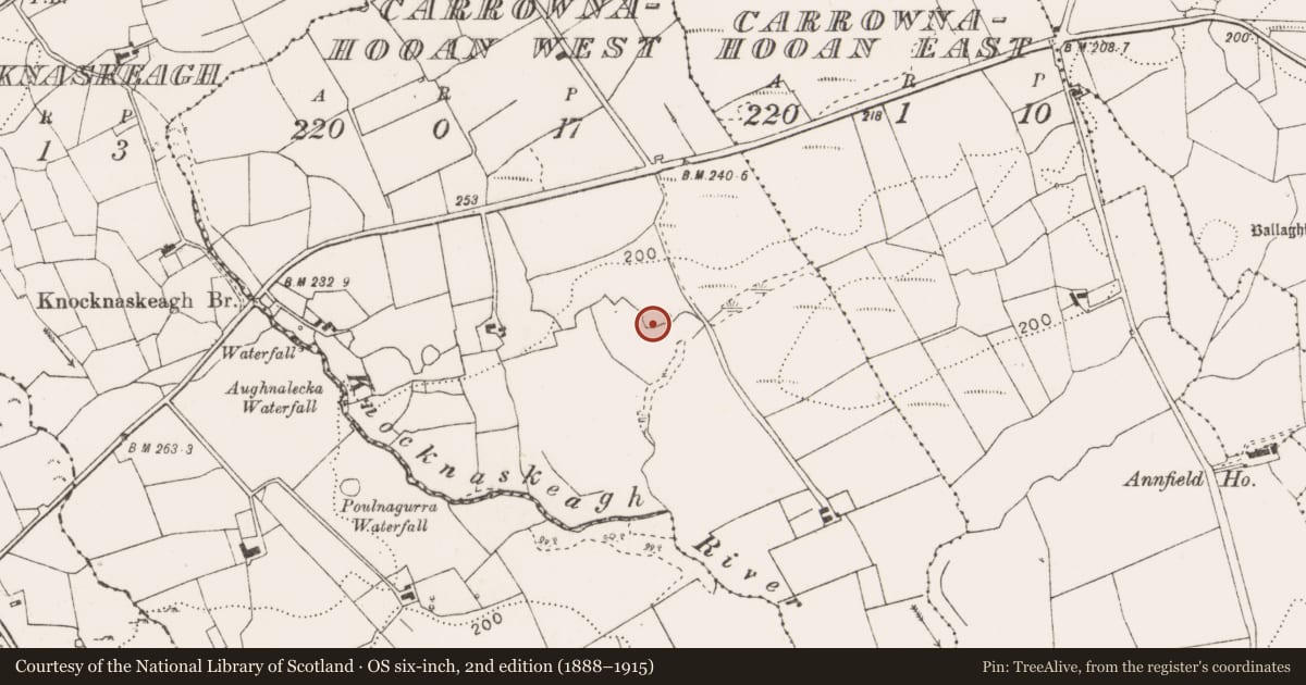 Ordnance Survey six-inch map, 2nd edition (1888–1915) covering the location of Enclosure, Carrownahooan West, County Clare, with a pin at the register's coordinates