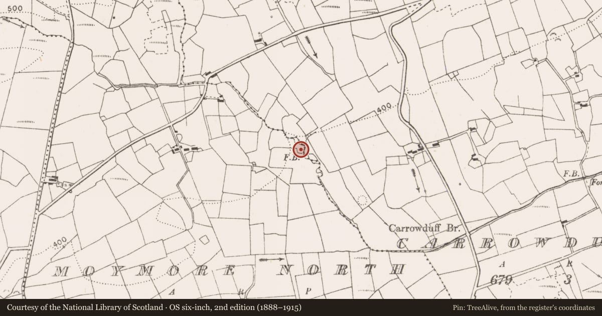 Ordnance Survey six-inch map, 2nd edition (1888–1915) covering the location of Enclosure, Moymore North, County Clare, with a pin at the register's coordinates