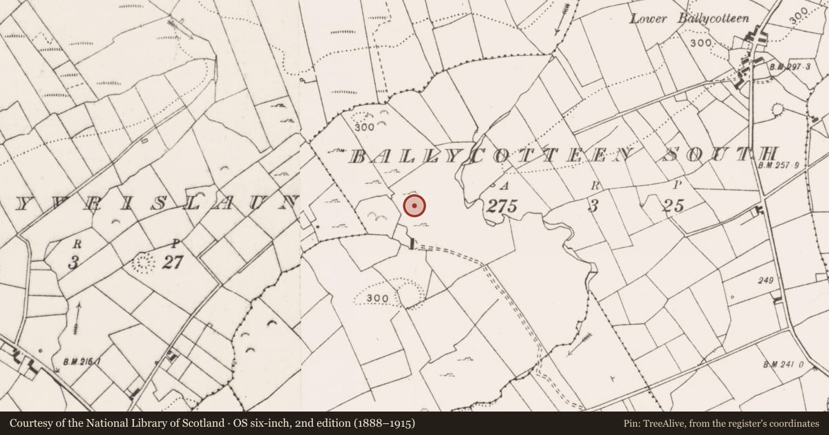 Ordnance Survey six-inch map, 2nd edition (1888–1915) covering the location of Standing stone, Ballycotteen South, County Clare, with a pin at the register's coordinates